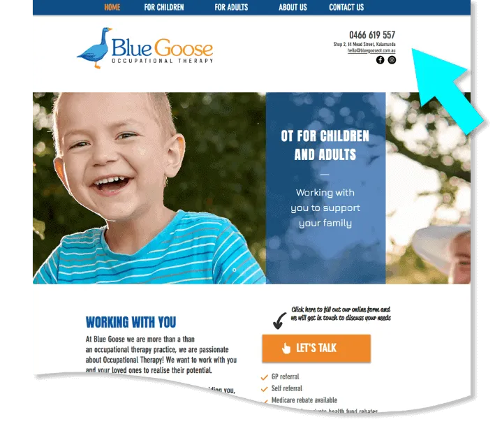 Example of occupational therapy health practice website