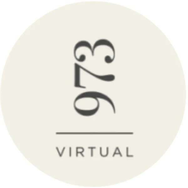 973 Virtual logo