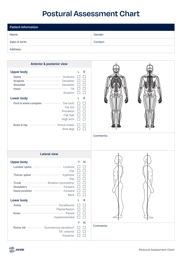 Preview of the Postural Assessment Chart body chart template