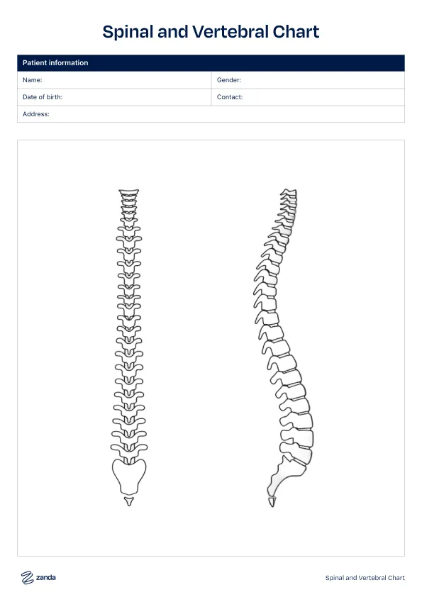 Preview of the Spinal and Vertebral Chart body chart template