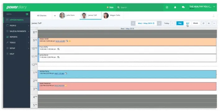 Power Diary day view showing appointments with the improved date picker