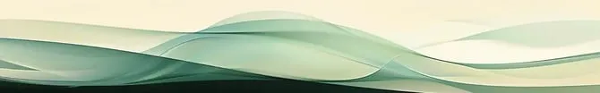 55_1x